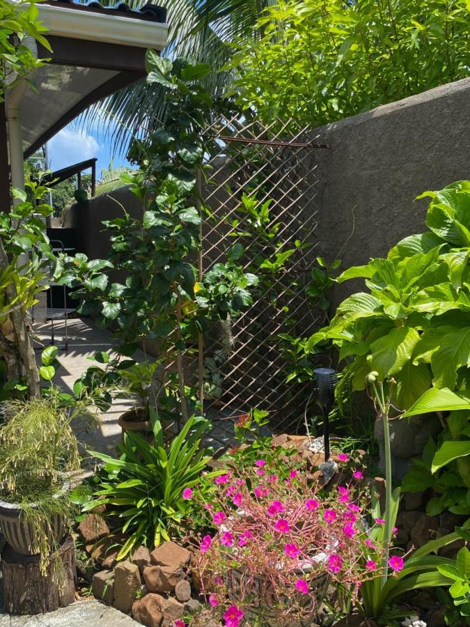 Tiki House Βίλα Μπόρα Μπόρα Εξωτερικό φωτογραφία