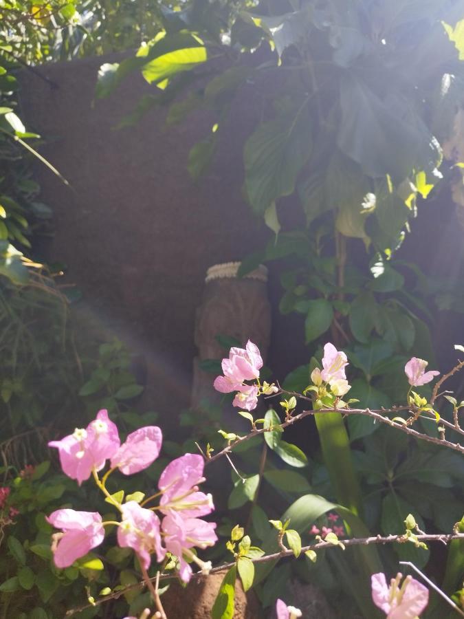Tiki House Βίλα Μπόρα Μπόρα Εξωτερικό φωτογραφία